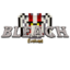 Minecraft Server icon for Bleach Evolved