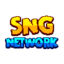 Minecraft Server icon for SNG Network