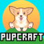 Minecraft Server icon for PupCraft: All The Mods 9 (ATM9)