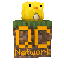 Server Icon