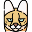 icon