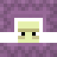 Server Icon for Shulker SMP