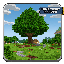 Minecraft Server icon for Dynasty Map