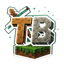 Minecraft Server icon for TerraBlocks