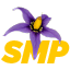 Server Icon