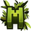 Server Icon