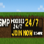 Minecraft Server icon for VORTEX smp