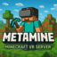 Minecraft Server icon for MetaMine VR – A Next-Gen Minecraft MMO Experience