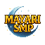 Server Icon