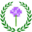 Server Icon