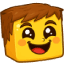 Server Icon