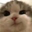 Minecraft Server icon for Friendly SMP 