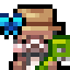 Server Icon