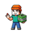 Minecraft Server icon for SignalSMP