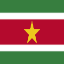 Minecraft Server icon for Suriname