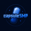 Minecraft Server icon for CapsuleSMP
