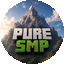 Minecraft Server icon for Pure Smp