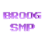 Minecraft Server icon for BroogSMP