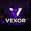 Minecraft Server icon for Vexor