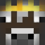 Minecraft Server icon for Police And Criminals
