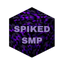 Minecraft Server icon for SpikedSMP