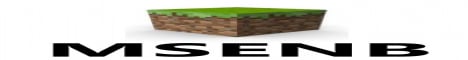 MSENB