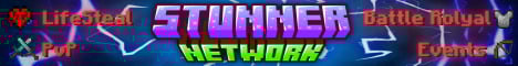 StunnerNetwork