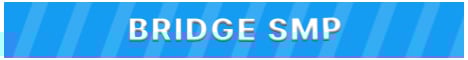 Bridge SMP
