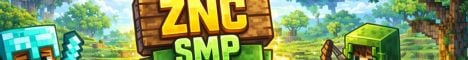 ZNC SMP Server