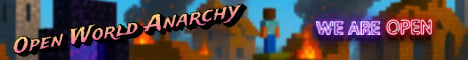 Open World Anarchy