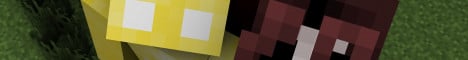 Aethel SMP