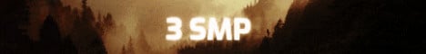 3 SMP