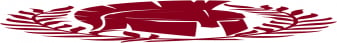 Imperio Latino Network