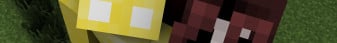 Aethel SMP