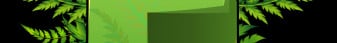FernSMP